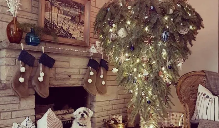 Un altro albero di Natale appeso al soffitto