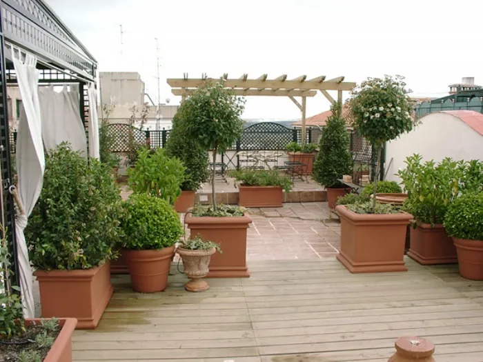 terrazzo con piante