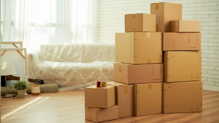 La quantità di scatoloni che dovremo trasportare