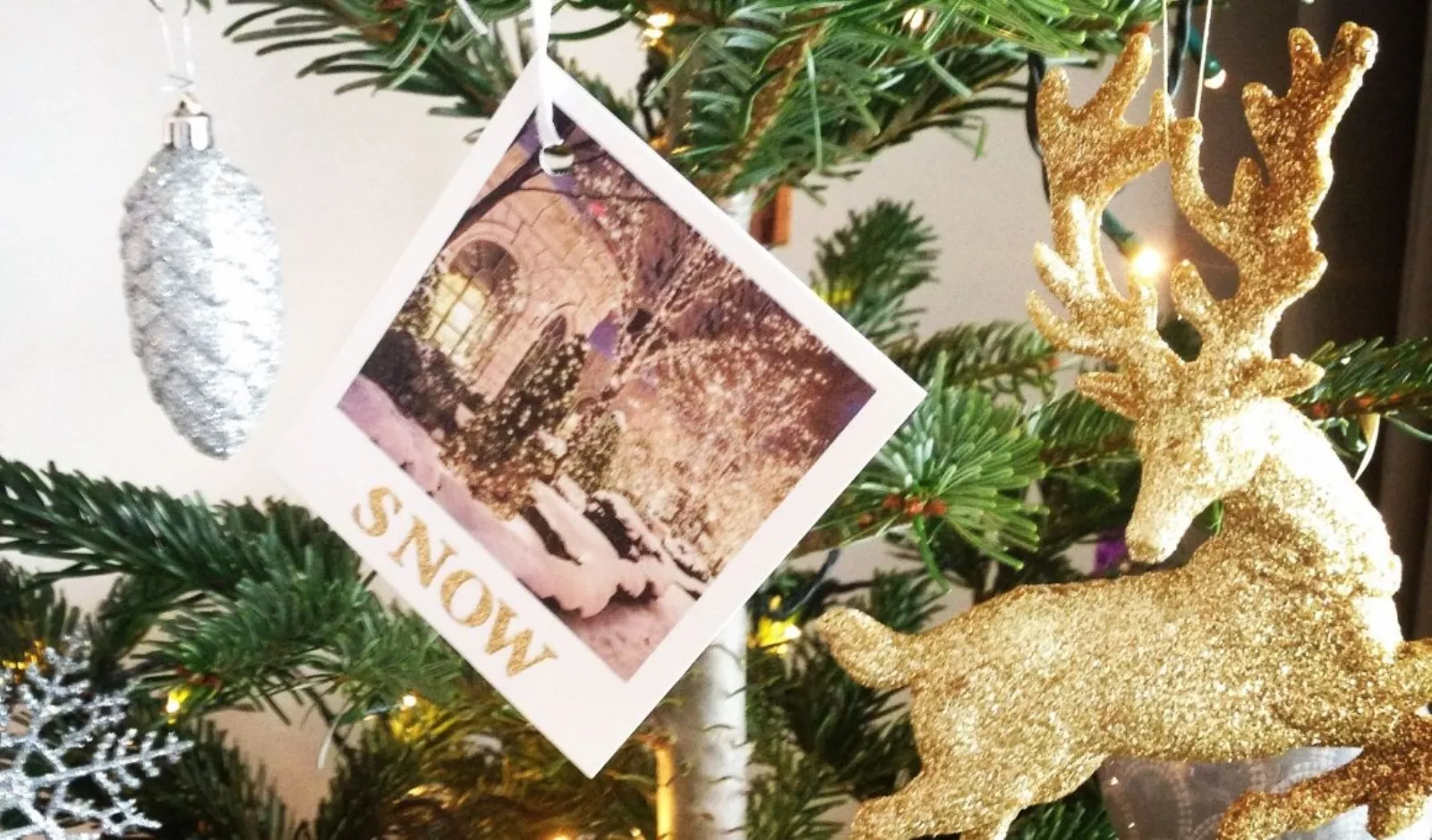 Decorazioni Albero Di Natale Con Foto.Idee Da Copiare Per Realizzare Alberi Di Natale Originali