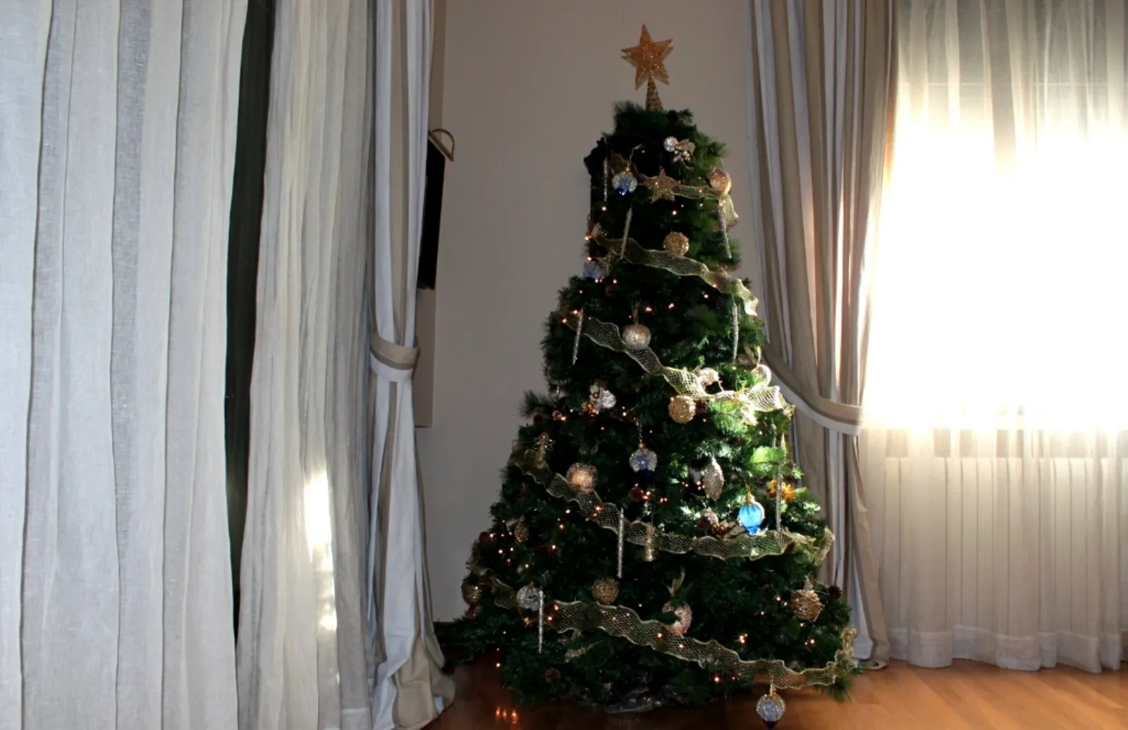 Albero Di Natale Vero Prezzo.Albero Di Natale Vero O Finto Il Perche Di Una Scelta