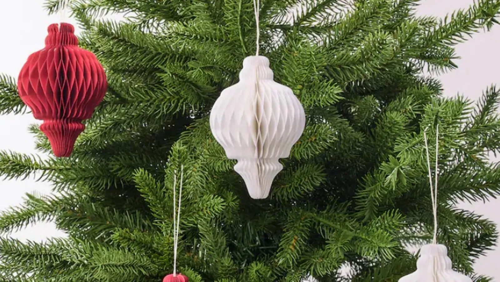 Albero Di Natale 4 Mt.Albero Di Natale Vero O Finto Il Perche Di Una Scelta