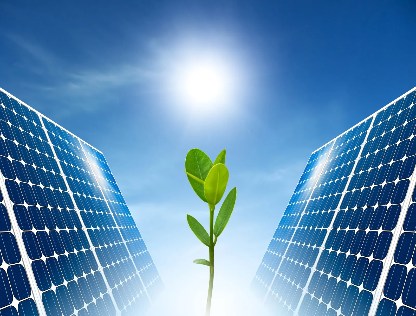 Le energie rinnovabili