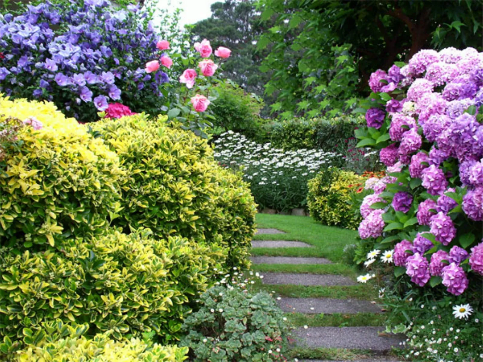 Giardini Fioriti giardini-fioriti