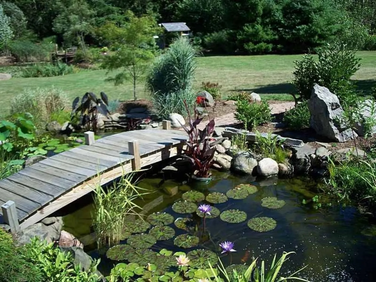 come-realizzare-un-laghetto-da-giardino