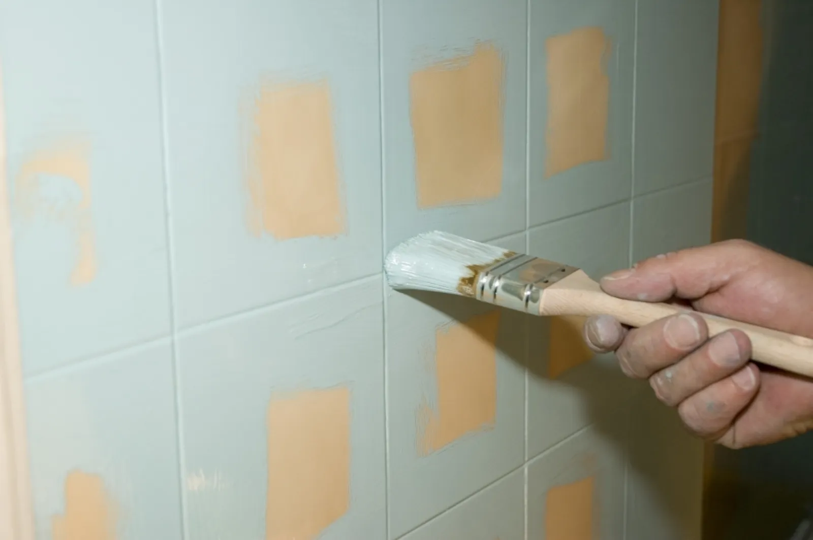 Tutto Sulla Pittura per le Pareti del Bagno