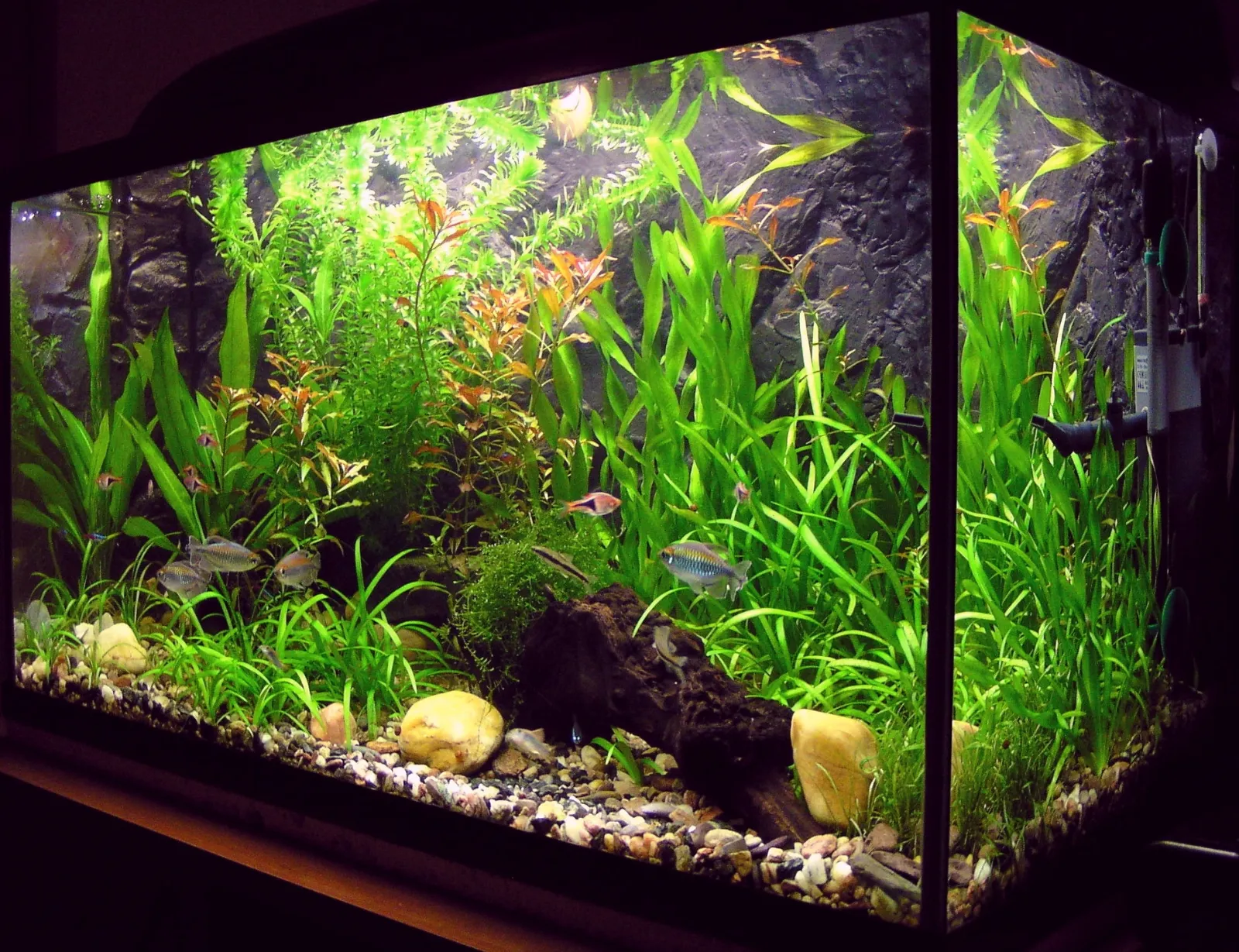 Plafoniere Acquario Fai Da Te : Illuminazione acquario fai da te 28 images tutorial