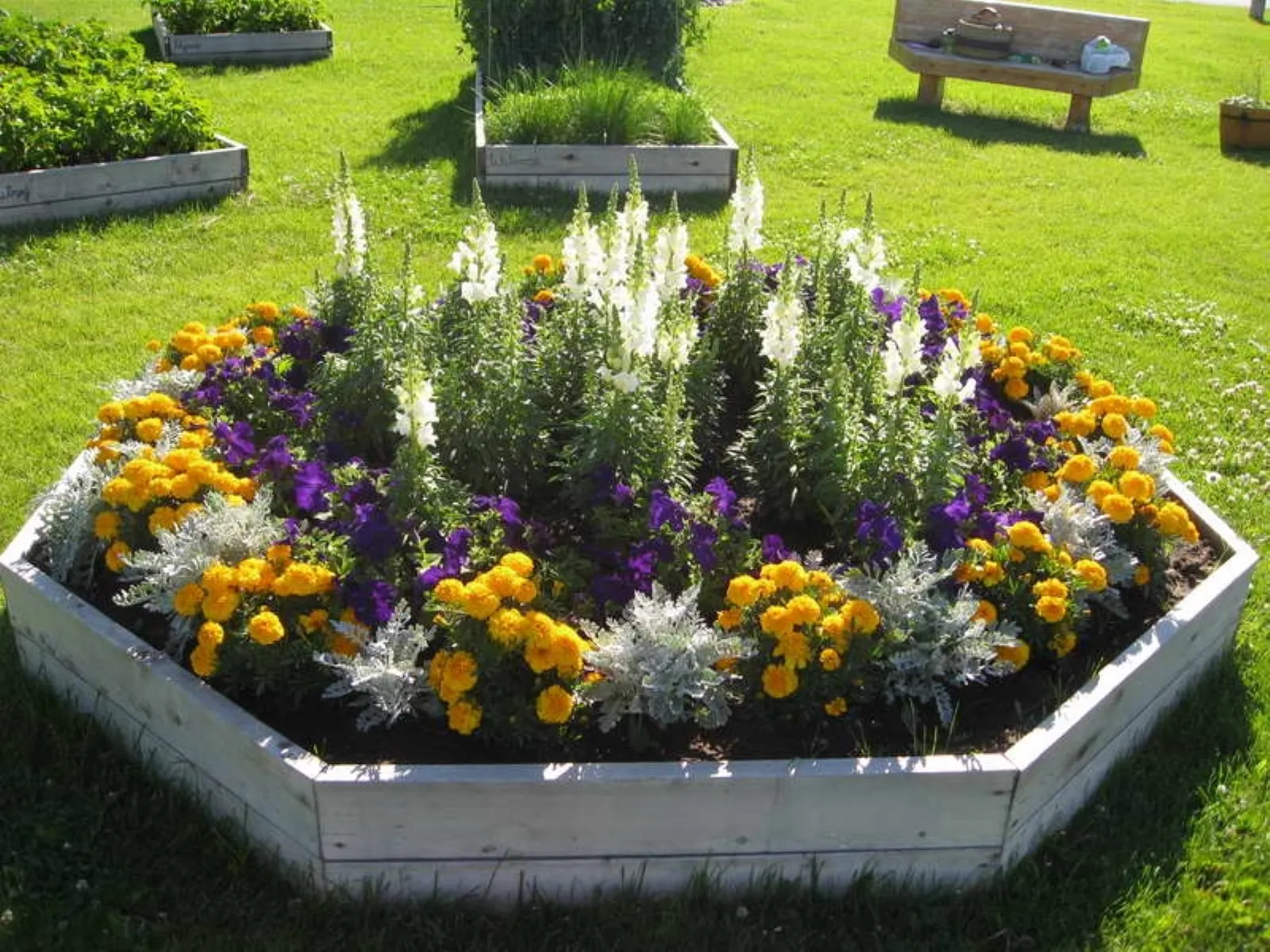 Aiuole da giardino: un tocco di stile Creare un aiuola