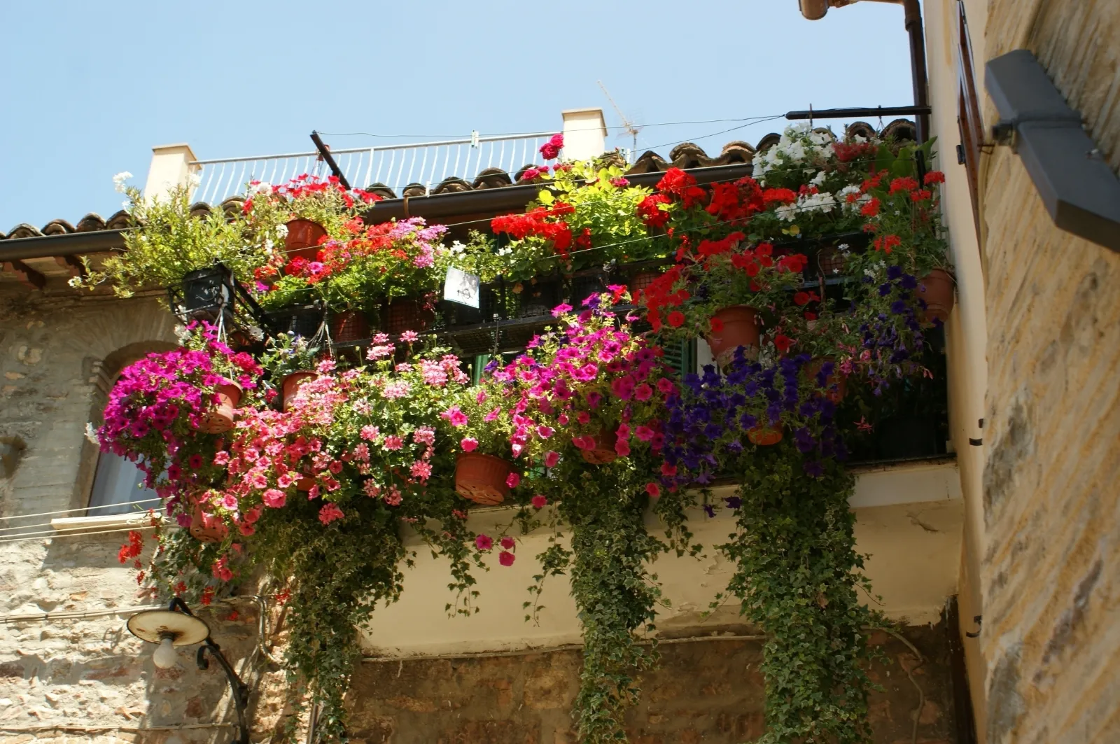 Balcone fiorito, come abbellirlo al meglio - Arredo Giardino