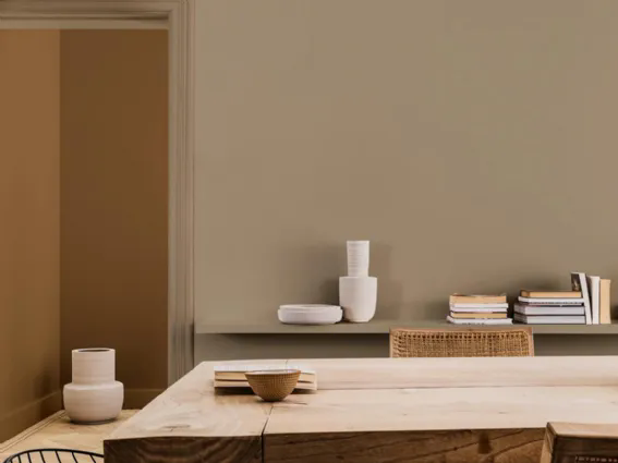 Dulux Color of the Year 2021: Brave Ground