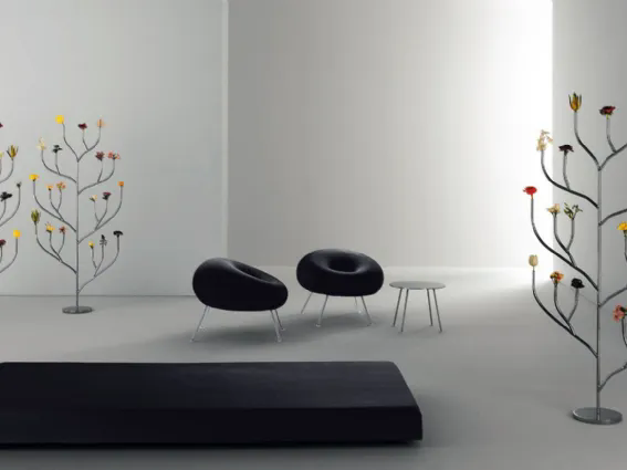 Design casa
