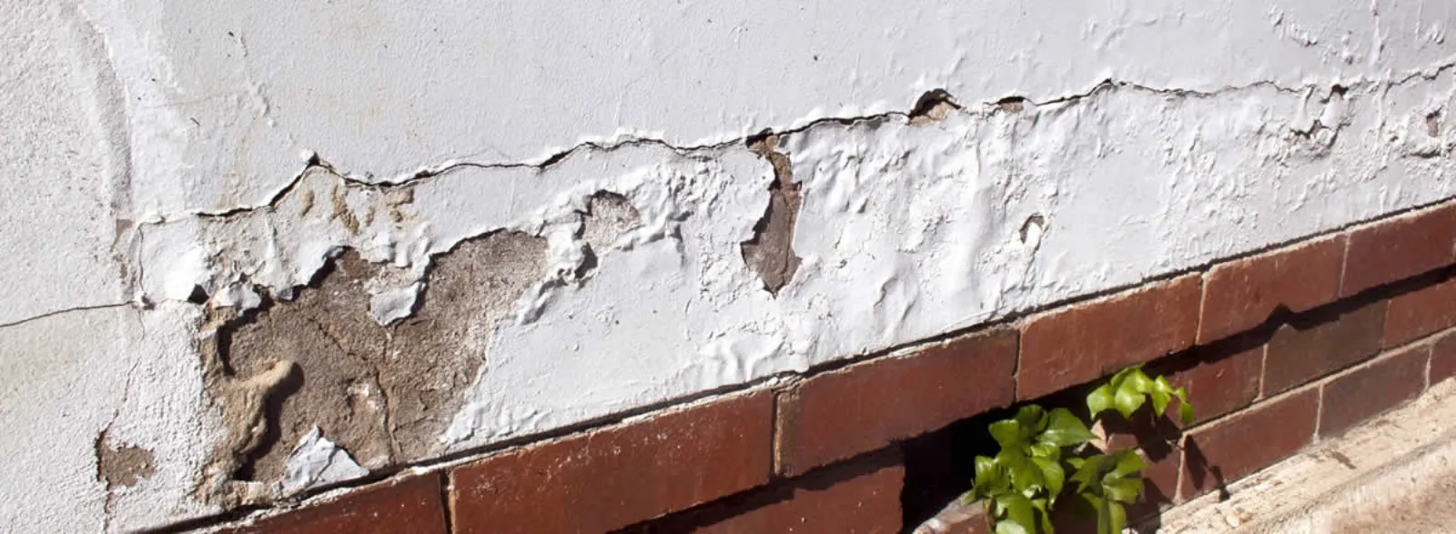 Eliminare umidità di risalita ristrutturazione casa Come combattere l umidità di risalita
