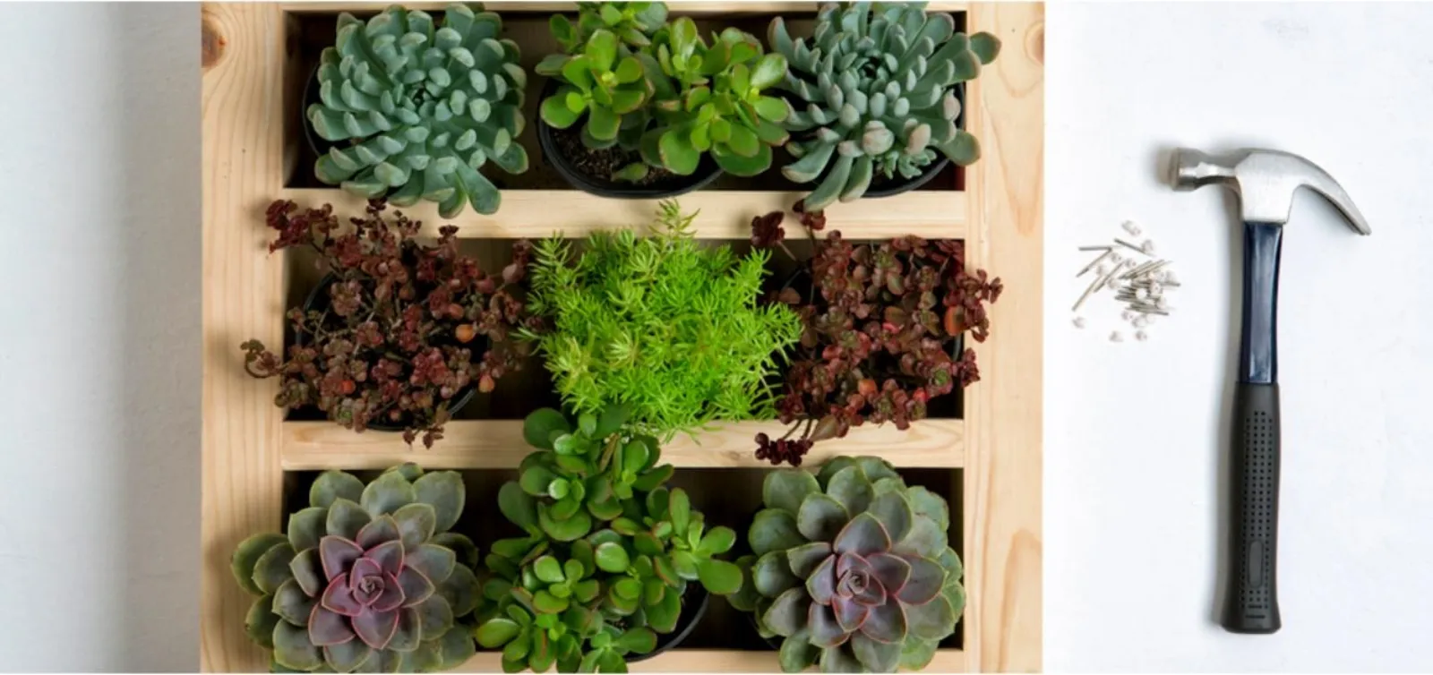 Pareti verdi il verde scopri come realizzare l pareti verdi Giardino a parete