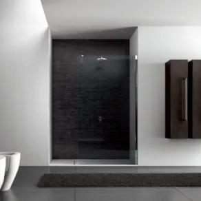 Vetro doccia Walk-in di Disenia