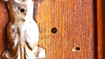Acari del legno