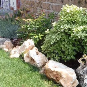 Aiuole da giardino con sassi