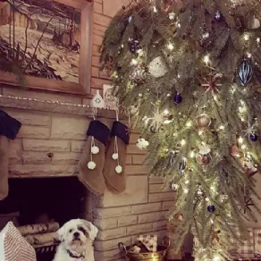 Un altro albero di Natale appeso al soffitto