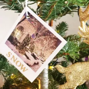 Decorare l'albero di Natale con le foto