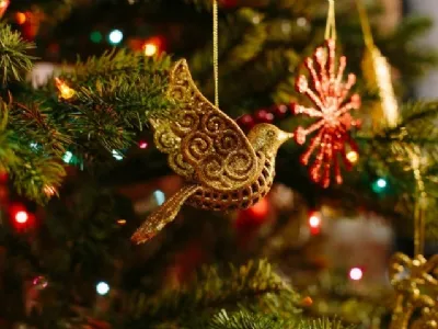 Albero di Natale o presepe?