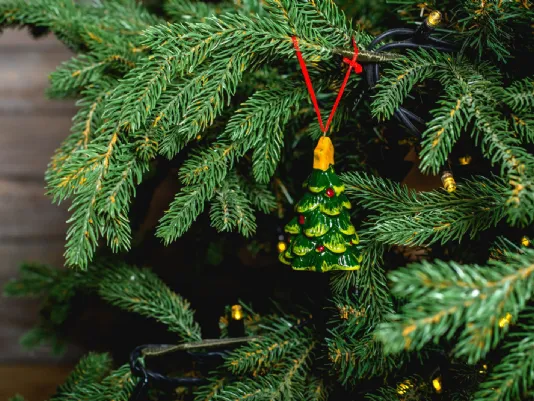 Perché scegliere un albero di natale vero