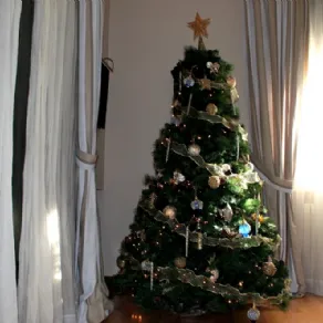 Un albero di Natale naturale