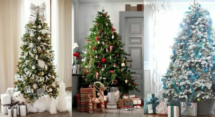 Un albero di Natale vero (a sinistra) e due finti