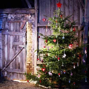 Albero natale Ikea vero