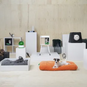 Animali in casa