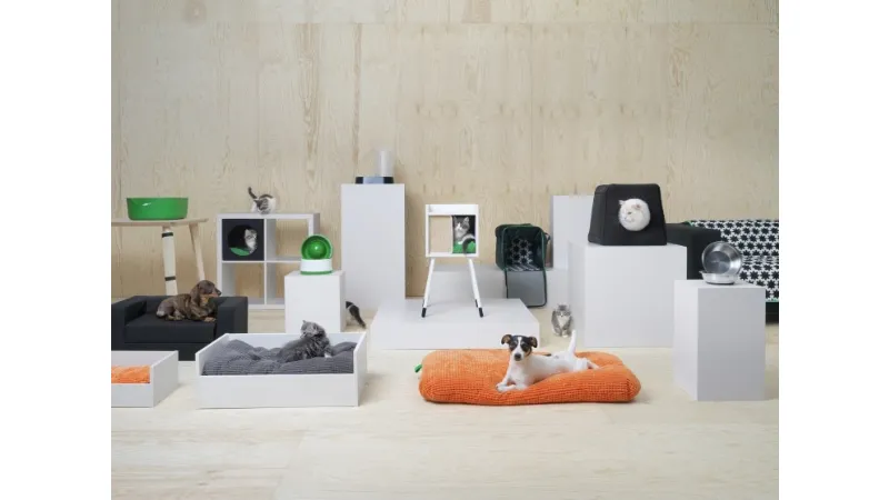 Animali in casa