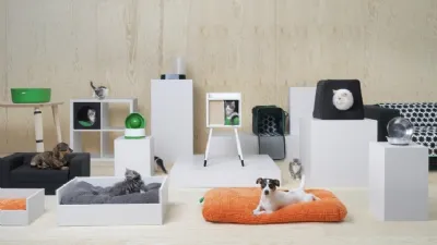 Animali in casa
