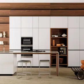 Forma Mentis di Valcucine con anta laccata