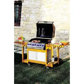 barbecue per giardino