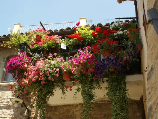 balcone fiorito