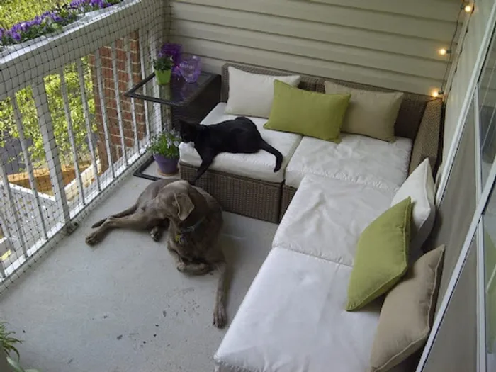 balcone con cane e gatto