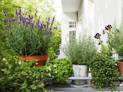 Idee per un balcone fiorito