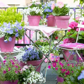 Arredare il balcone con i fiori