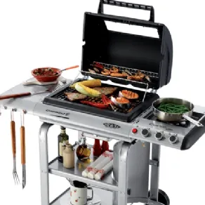 Grigliata di carne e verdure sul barbecue