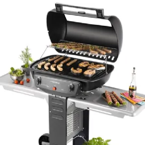 barbecue con grigliata