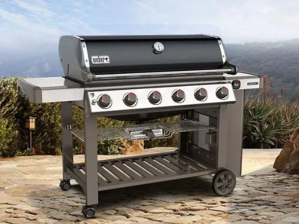 Barbecue a gas Genesis II Weber