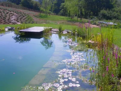 biopiscina