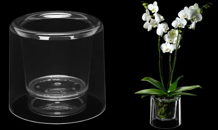 Orchidea in vaso trasparente