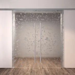 Modello Plana scorrevole esterno muro a doppia anta in vetro decorato
