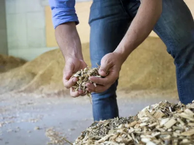 Cippato per caldaia a biomassa