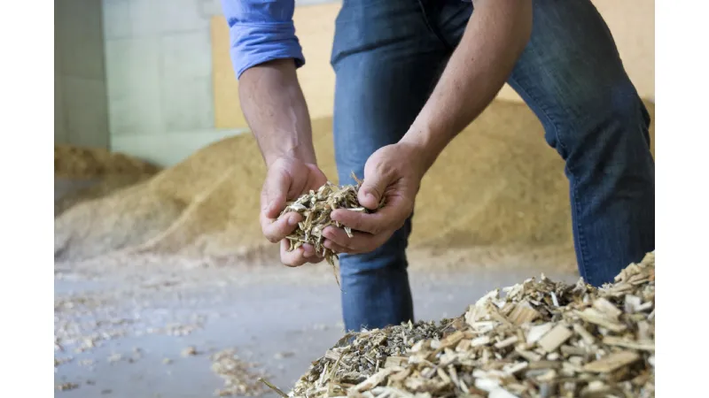 Cippato per caldaia a biomassa