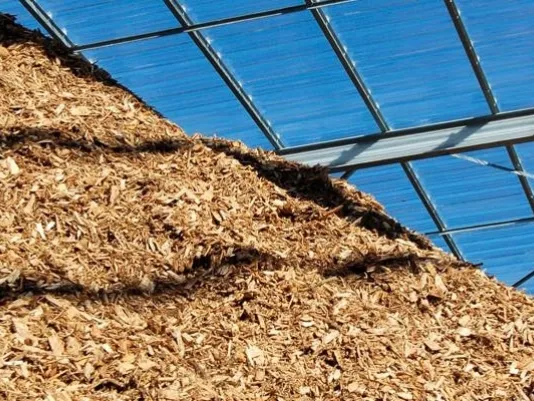 Biomasse: fonte di energia alternativa