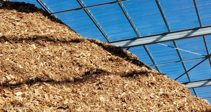 Biomasse: fonte di energia alternativa