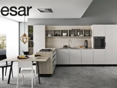 Cesar cucina Ariel
