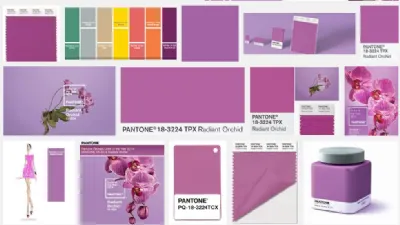 Il colore Pantone 2014 è Pantone 18-3224 Radiant Orchid
