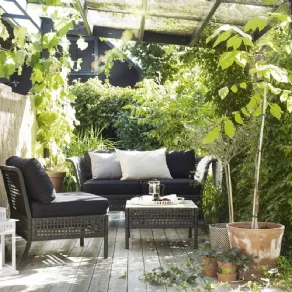 Come abbellire un terrazzo con piante