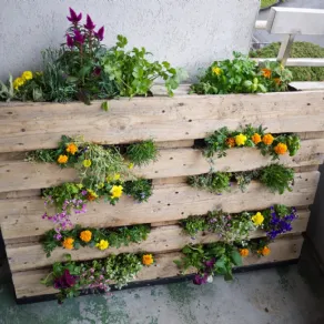 Come abbellire un giardino